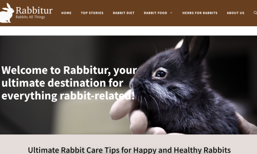 Rabbitur